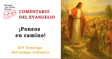 Evangelio: XIV Domingo del tiempo ordinario