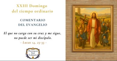 Evangelio y vida: Jesús en nuestra vida ordinaria